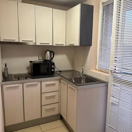 Pensión Casa Luba Sunny *